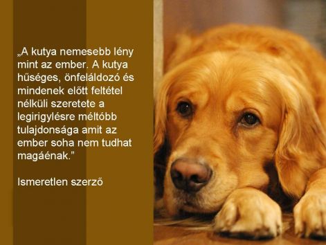idezetek_kutyakrol_1.jpg